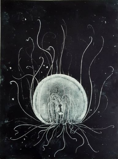 monotype